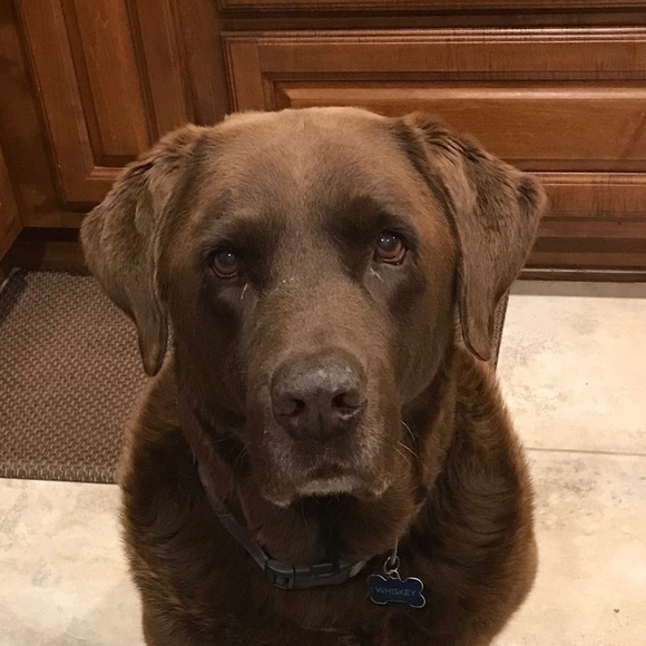 Meet your Posher, Nathan - Picture 1 of 1